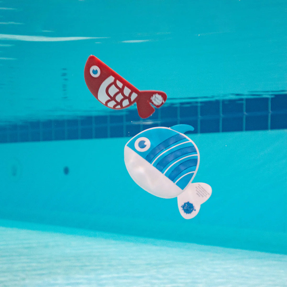 Bobbing Buddies- zappelnde Freunde
