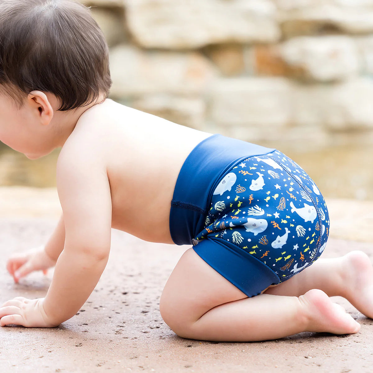 Neopren-Schwimmwindel "Shark Reef"